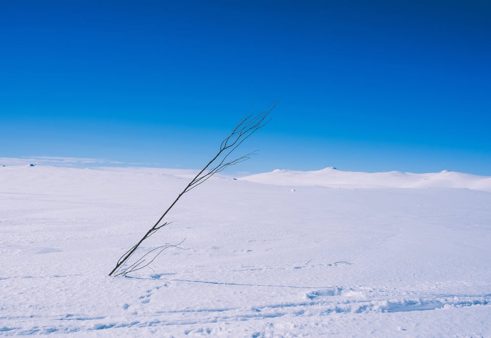 Vintertur over Hardangervidda. Bildene er fra etappen mellom Kalhovd, Helberghytta og Rjukan.