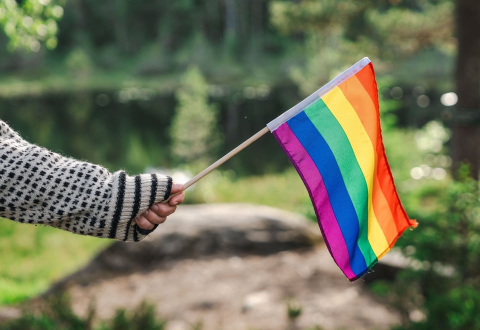 Prideflagg i Oslomarka