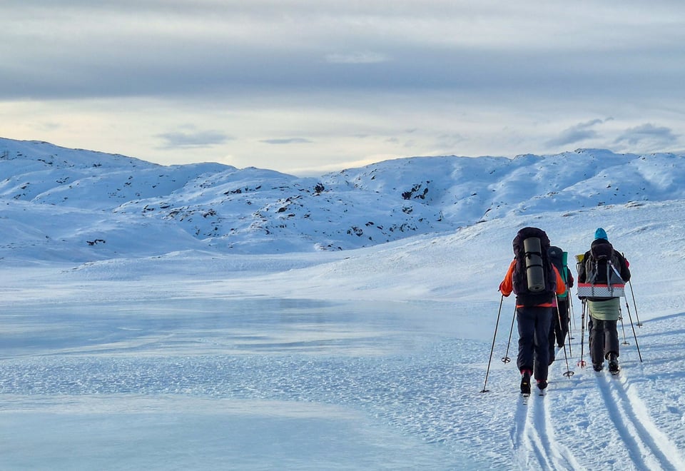 Vinterturledersamling Selhamar, 7.–9. februar 2026.