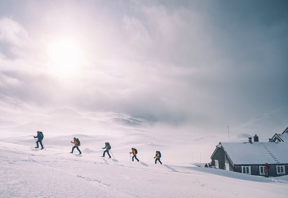 Bilder fra Geiteryggen. Mars 2026. 