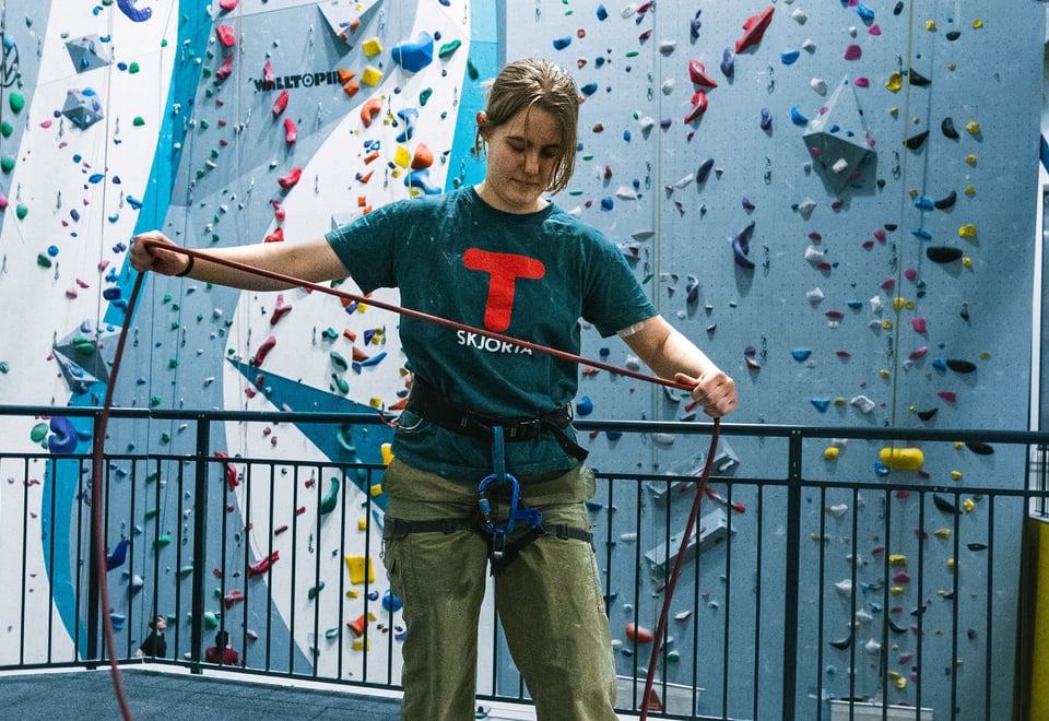 Sikring for klatring på led