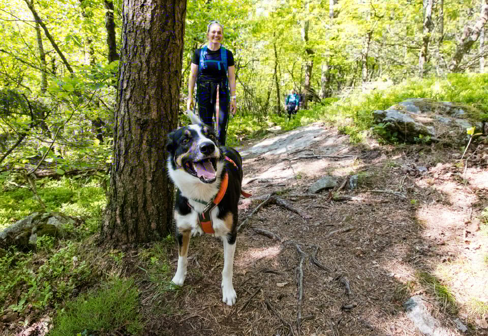Høydepunkt fra 7-nutsturen 2023.