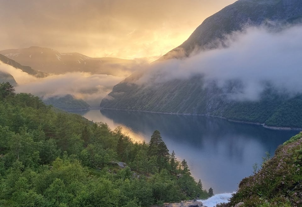 Reindalseter sommer 2024