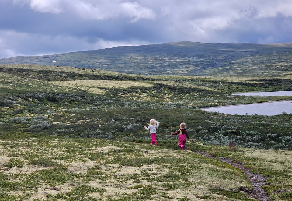 Sommerferie ved orkelsjøen