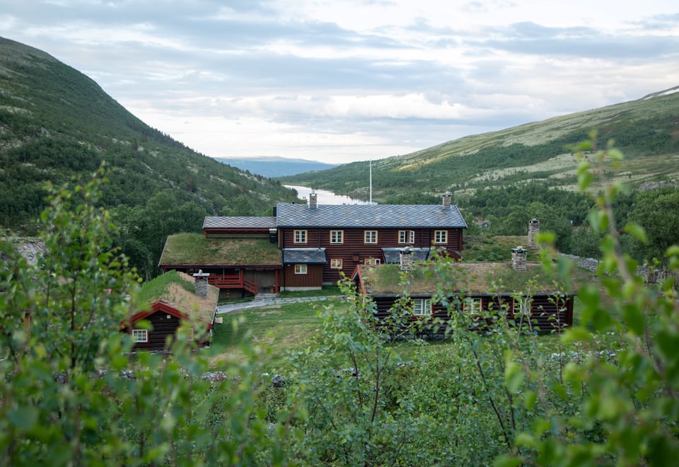 fra ny stueåpning på bjørnholia