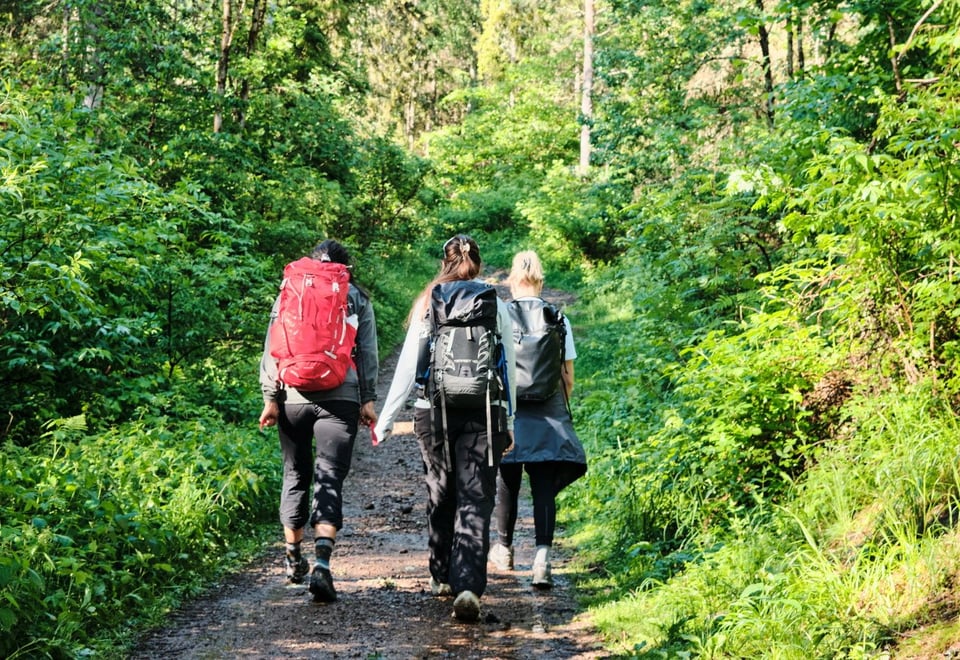 Tre jenter går opp en sti i en grønn skog