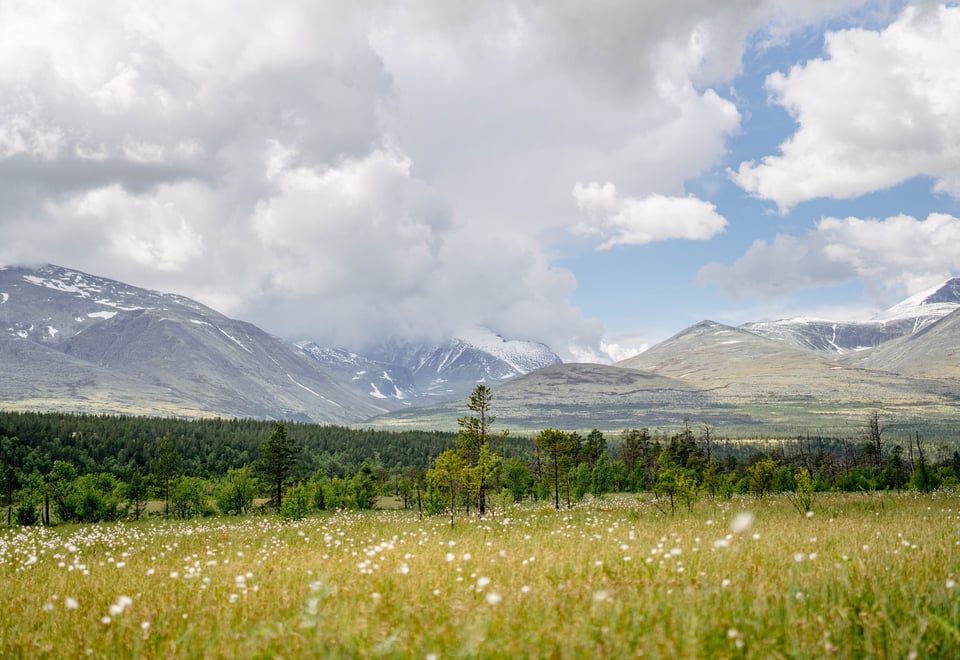 Sommeråpning på Bjørnhollia
