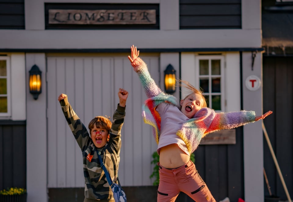Liomseter og Langsua