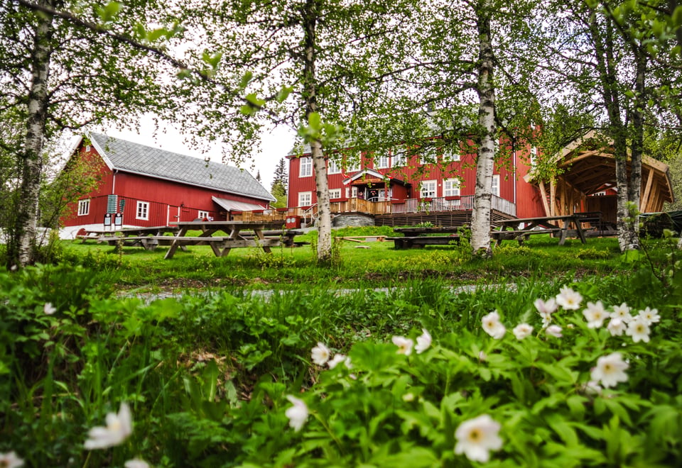Rønningen gård med vårstemning i 2023.