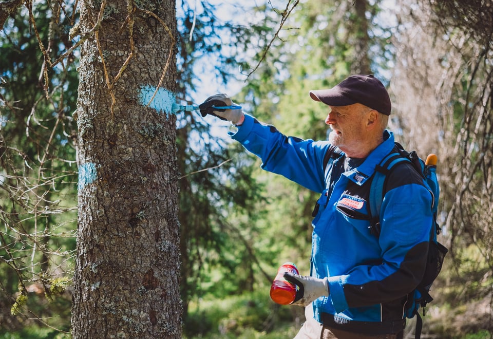 Stirydding i Nordmarka, mai 2026