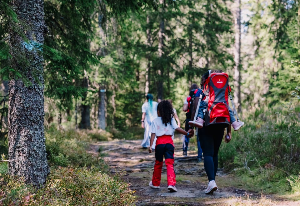 Turbotur til Liastua, Stovner
