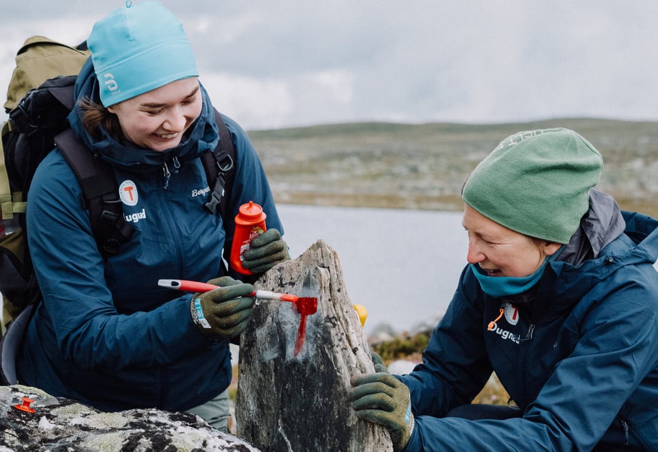 Bilder fra Vardedugnad på Sulebu i Skarvheimen, sommer 2026