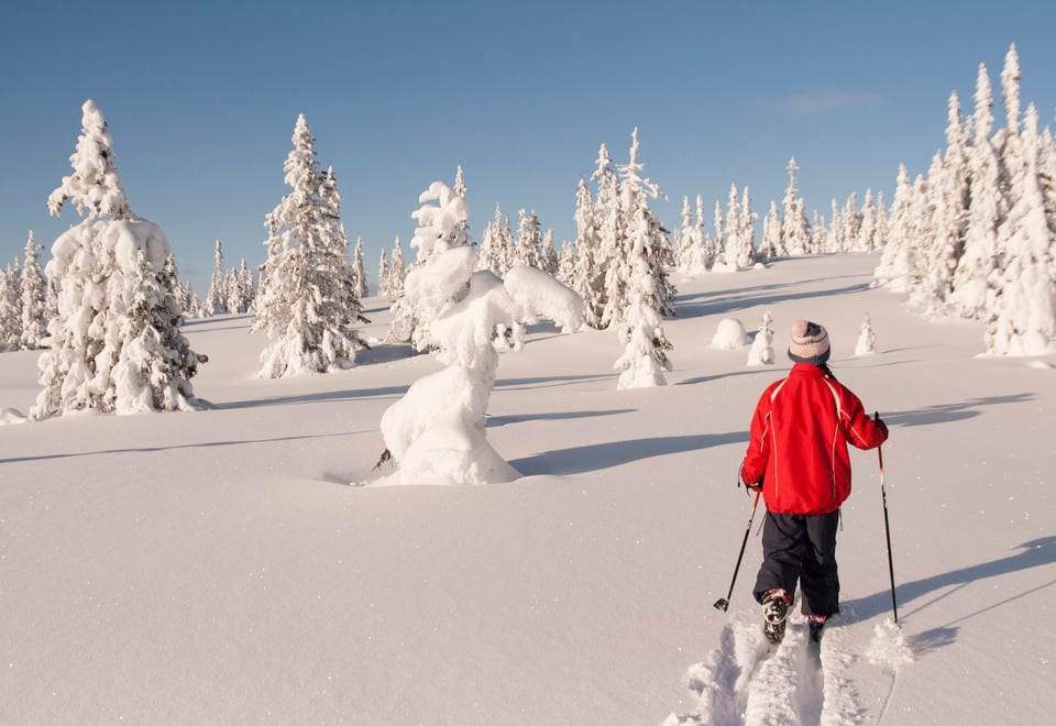 Fra Bittermarka i Trysil. Bilde til fri bruk mot kreditering av fotograf. 