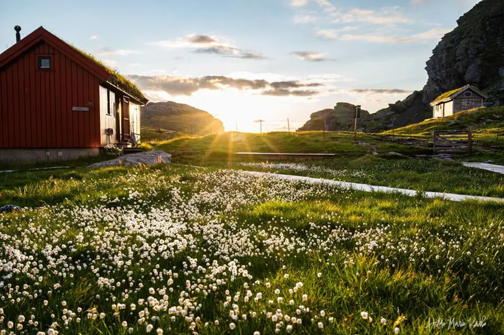 Bilde av et av byggene på Stranddalen i solnedgang. Nydelig myrull i front av bildet.