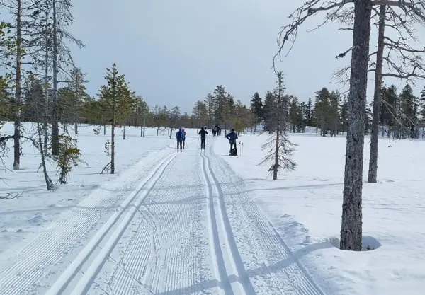 Skispor på Endelausmyrene
