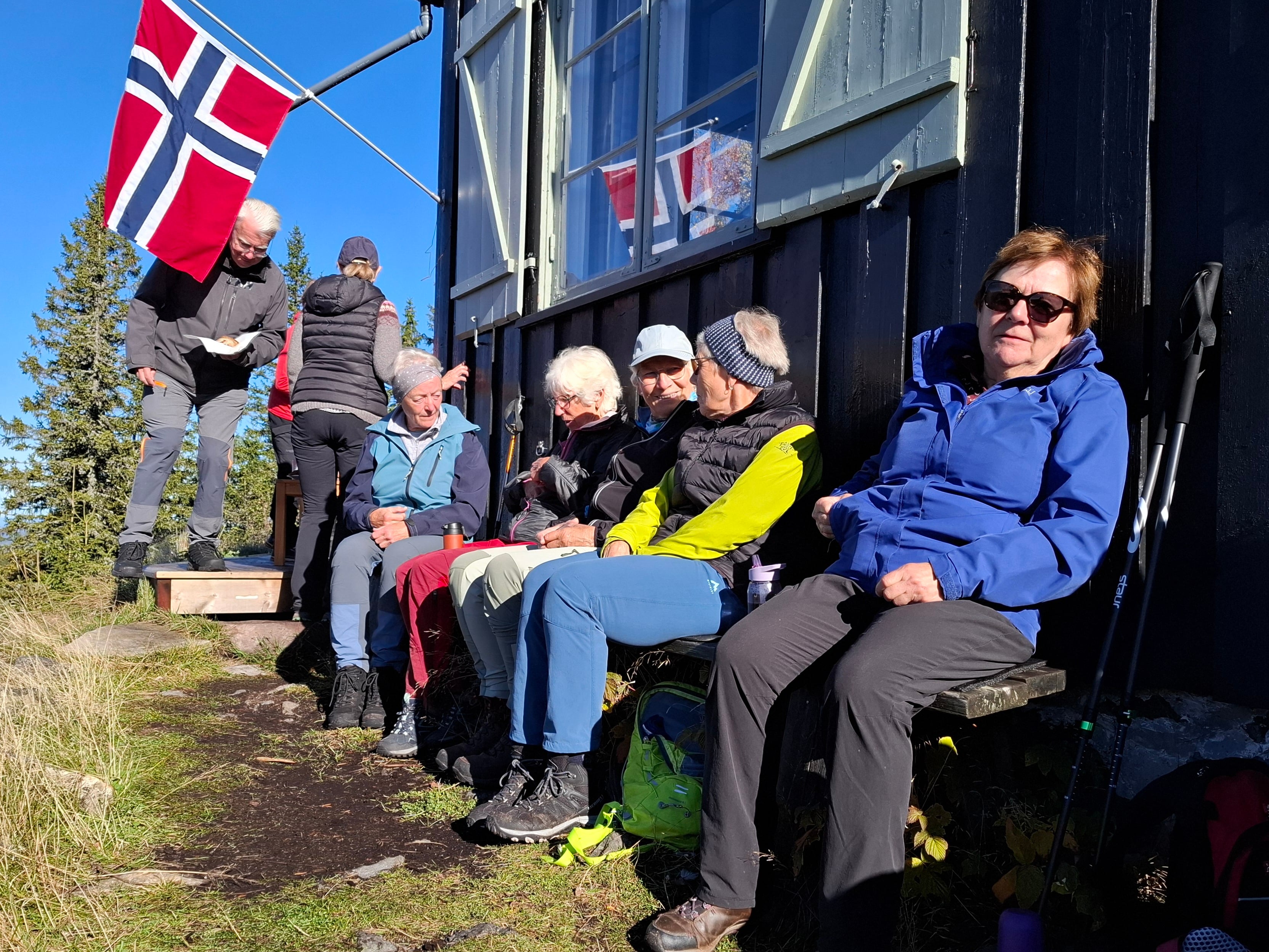 kos i solveggen