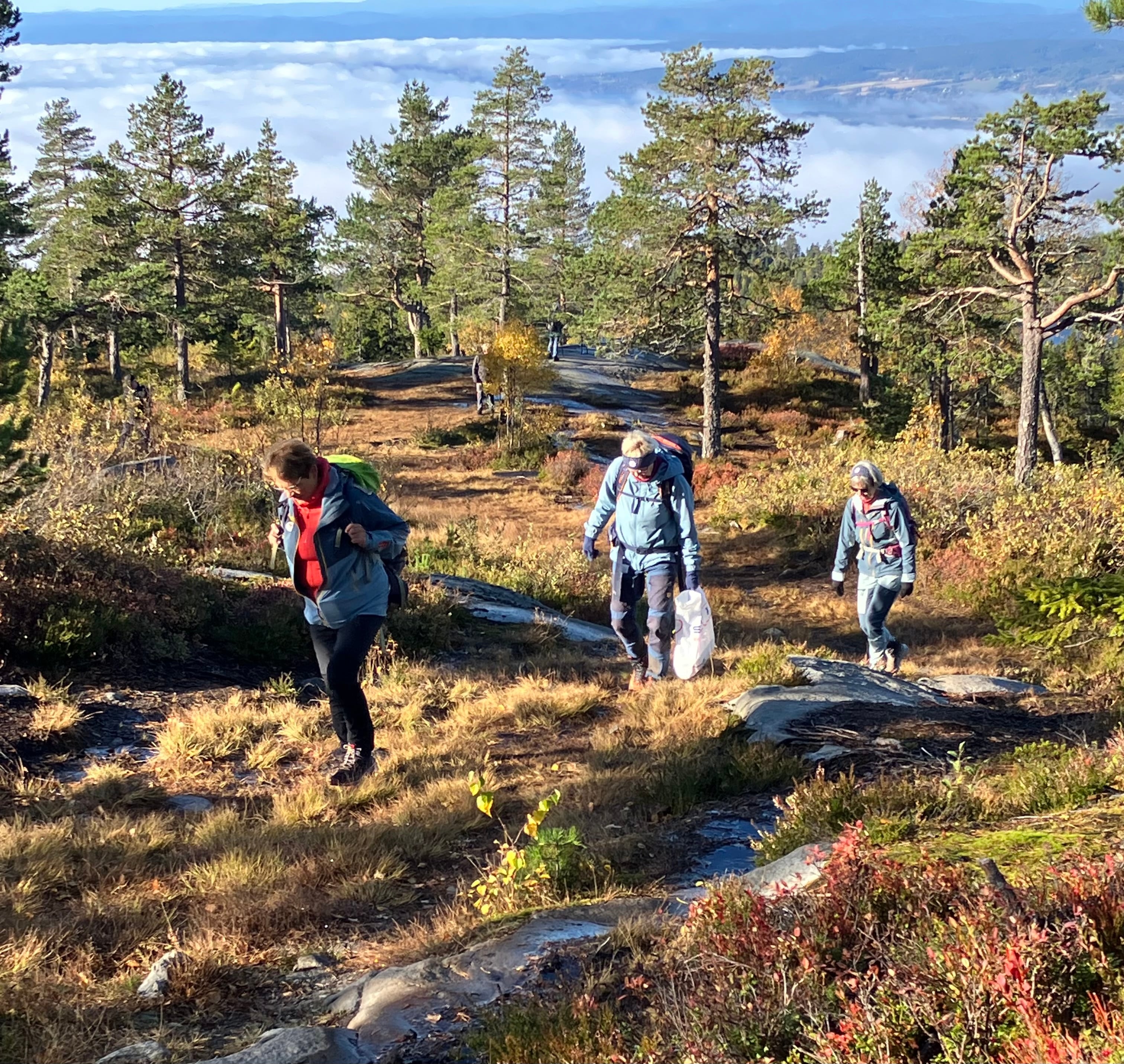 p&aring; vei til Ringkolltoppen  skimter t&aring;ka  nede  i bygda