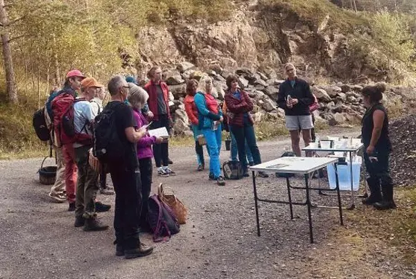 Fulltegnet soppkurs