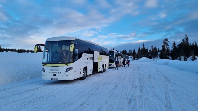 Buss