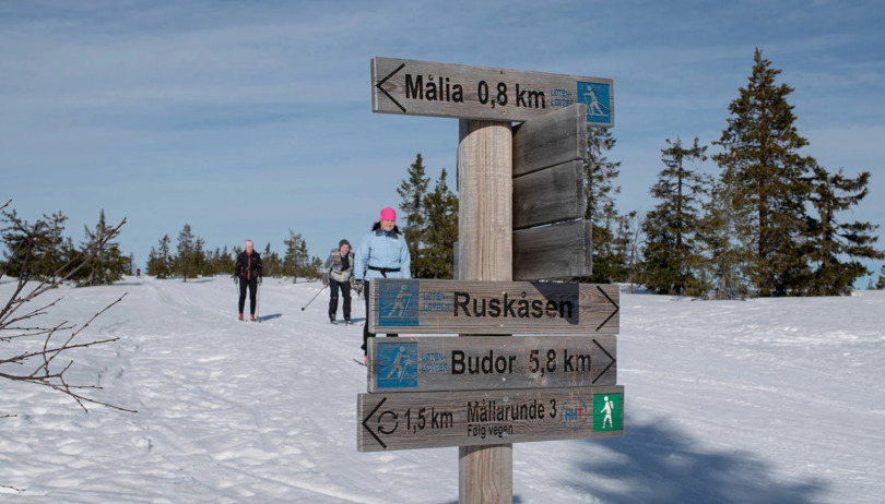 Turskilt og skiløyper