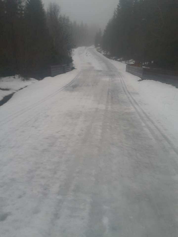 Bunn av G&aring;sbubakken