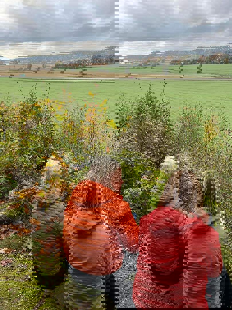 Bymarka 1