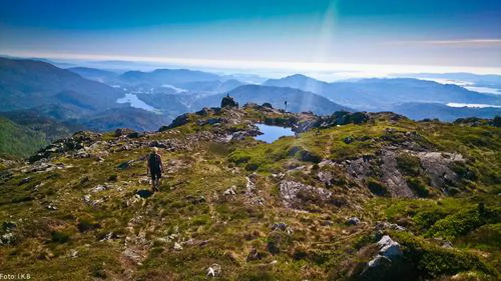 Utsikt mot by, fjord og fjell frå toppen av ein høgde i sol