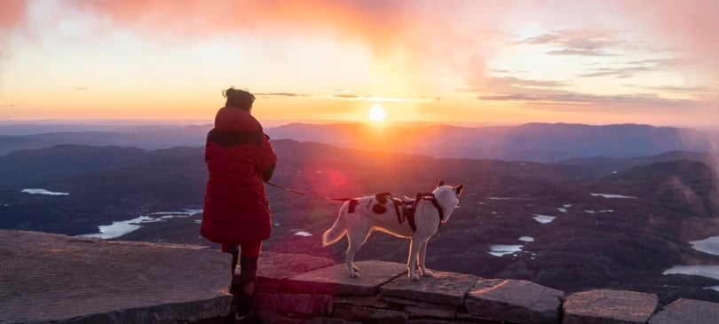 Utsikt fra fjell, solnedgang