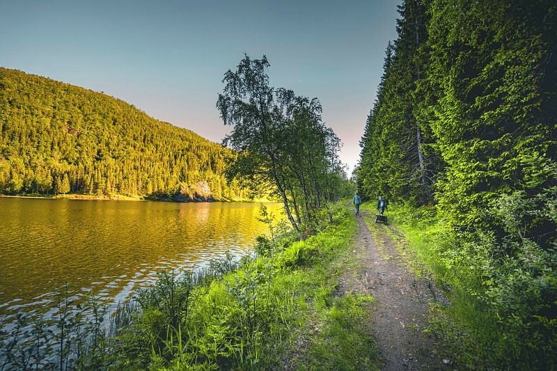 Fin grusvei med gr&oslash;nn skog og et vann p&aring; venstre side