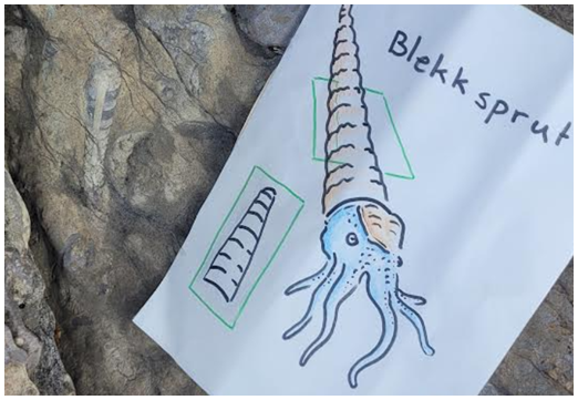 Tegning blekksprut