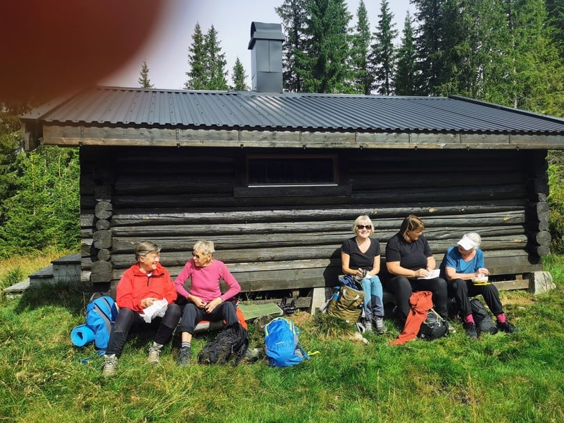 Pause ved koia