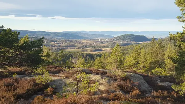 Utsikt fra Rødbykollen