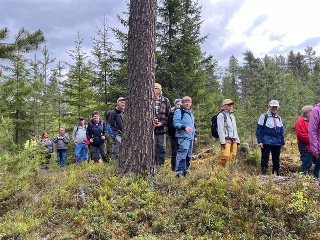 Gruppe på tur