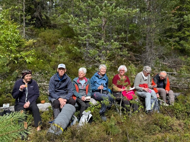 Gruppebilde
