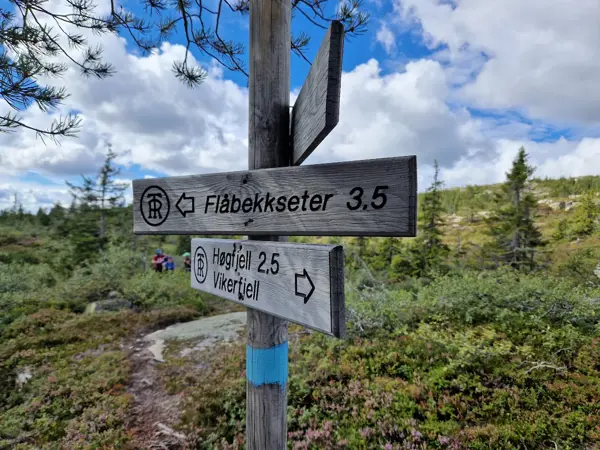 DNT Ringerike står ovenfor et veivalg!