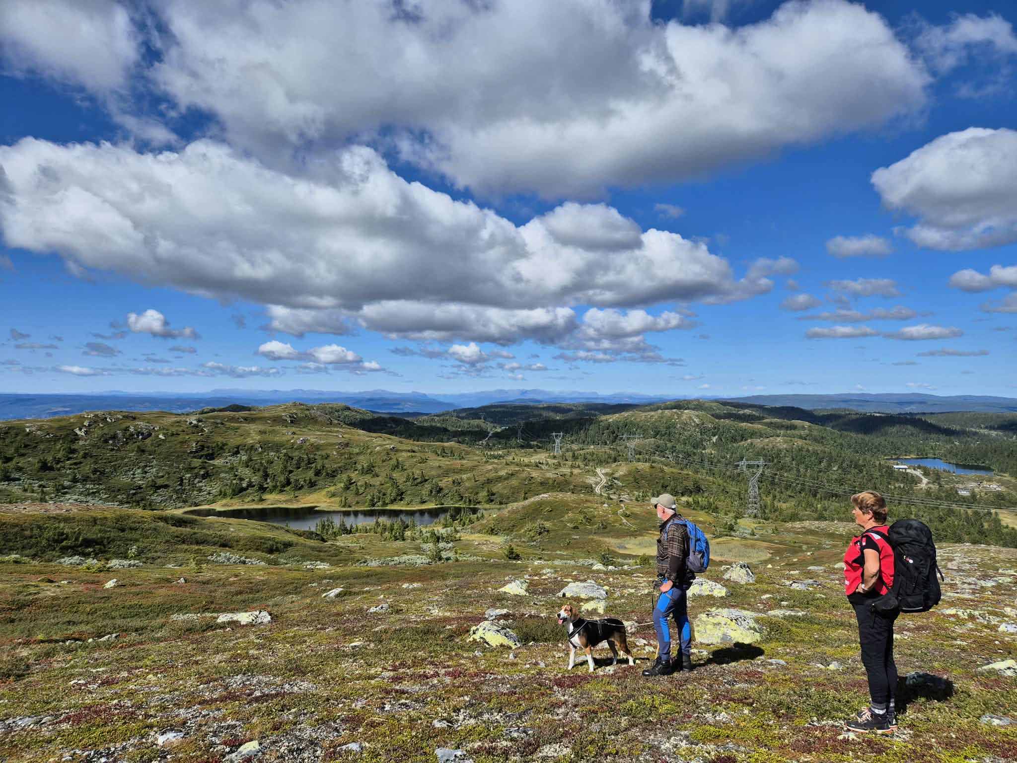 Utsikt nordover