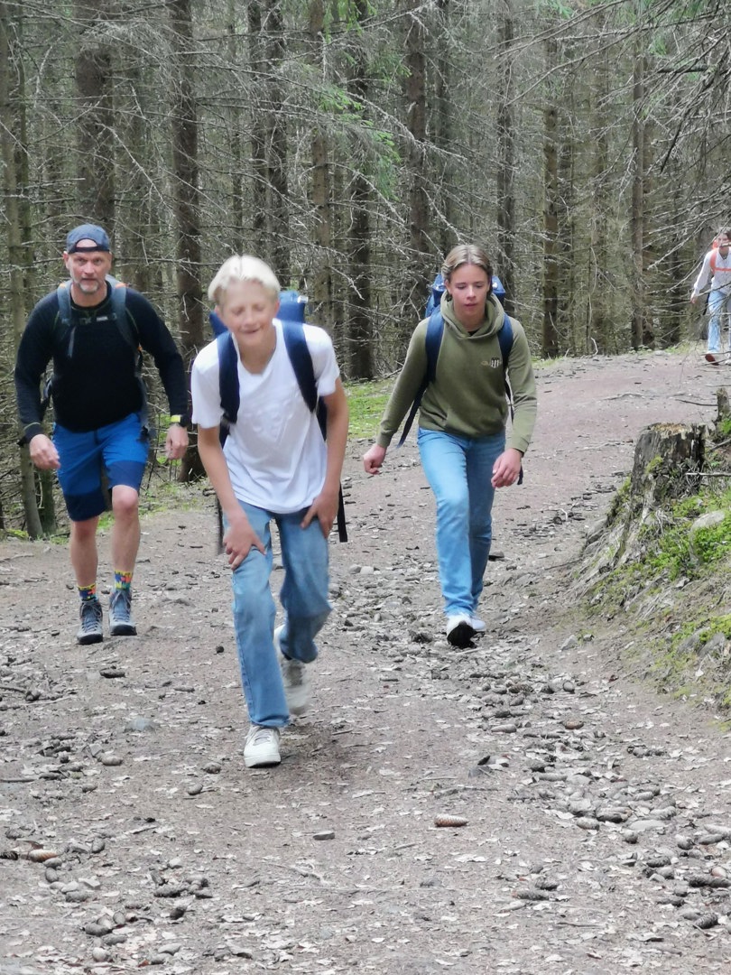 Unge gutter går tur gjennom granskogen.