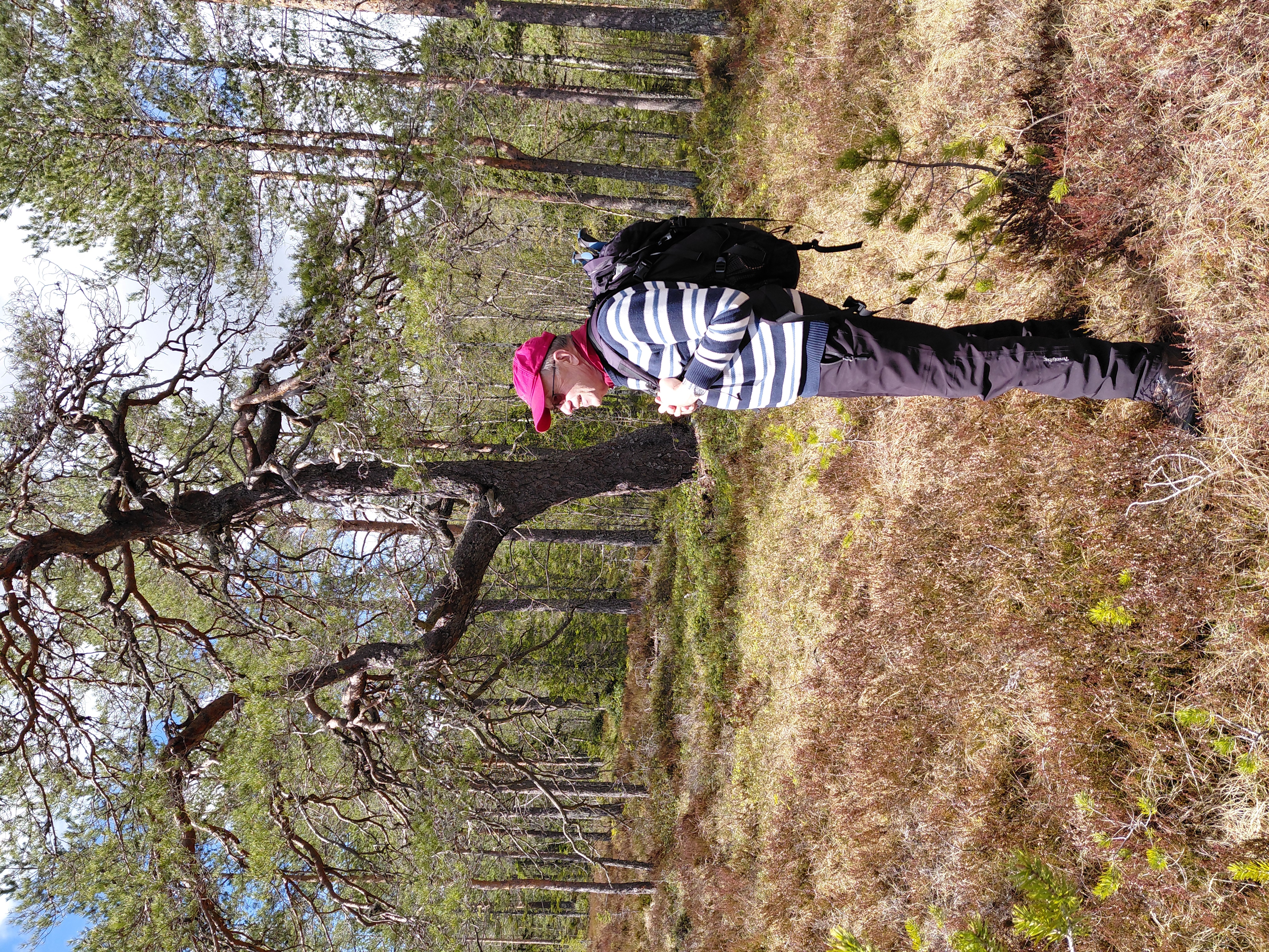kjentmann Anders