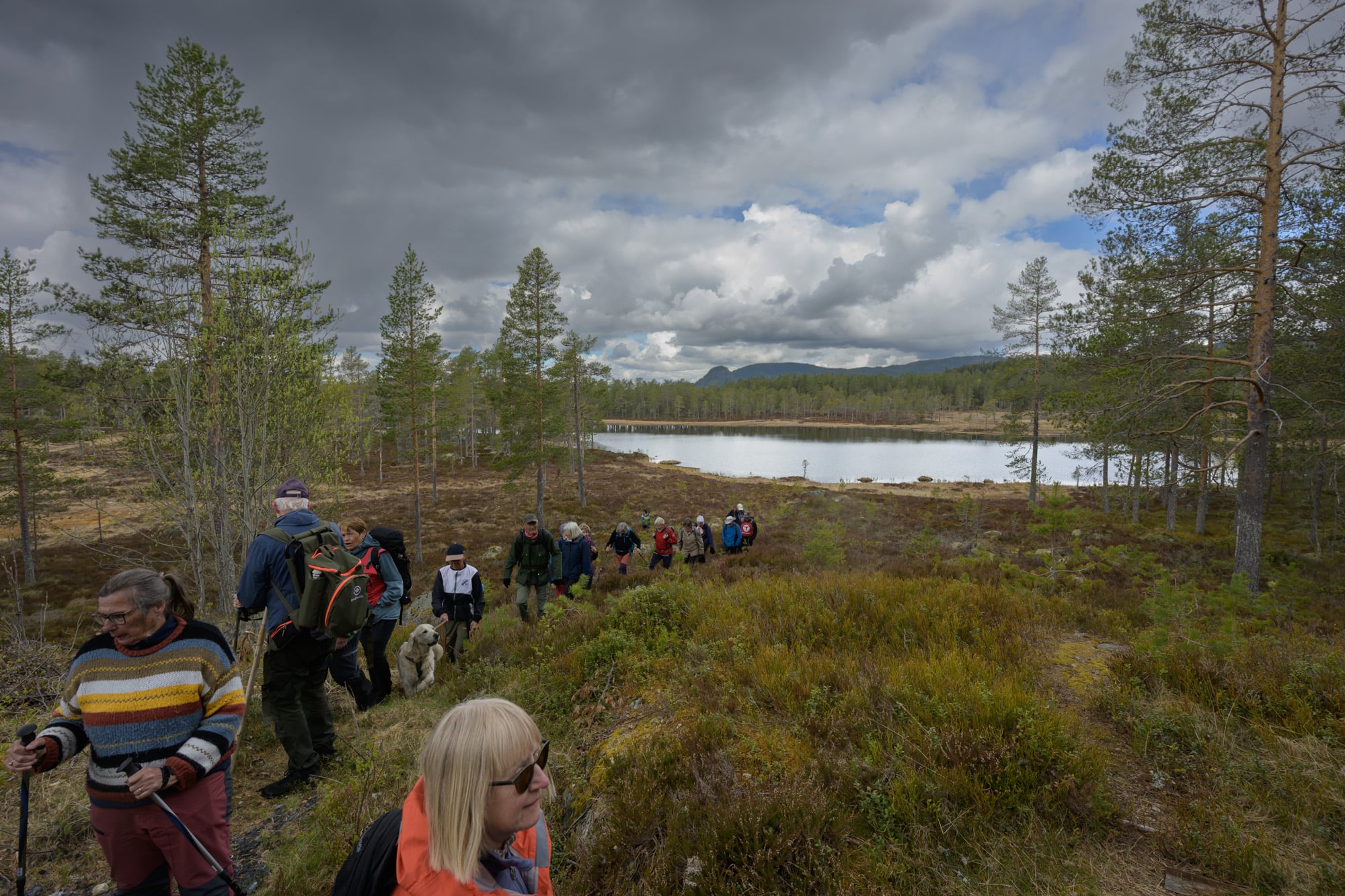 r&oslash;stesetertjern
