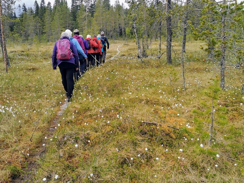 På tur i myrlandskap