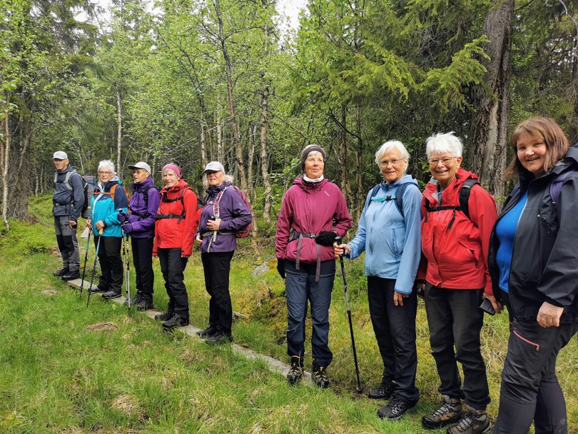 Mange mennesker på rekke på stien som er klopplagt.