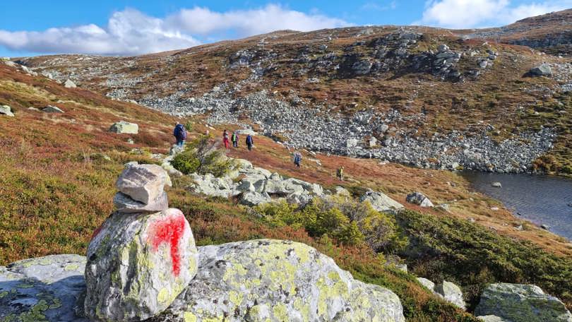 Fjell i høstfarger