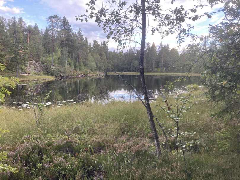 Jokumstjern