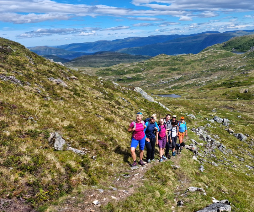 Turfølget på sti i fjellet 