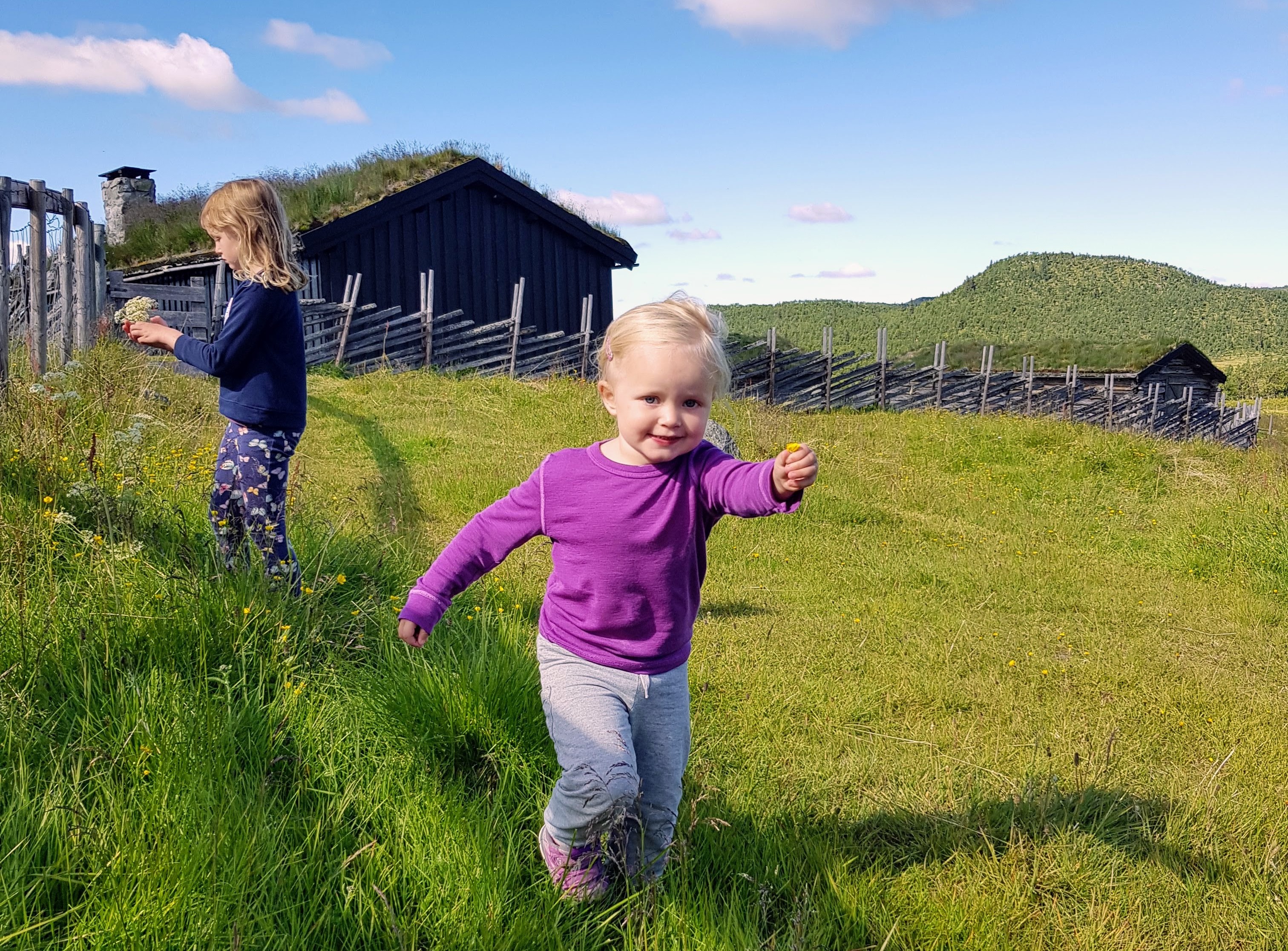 to jenter plukker blomster i blomstereng p&aring; fjellet