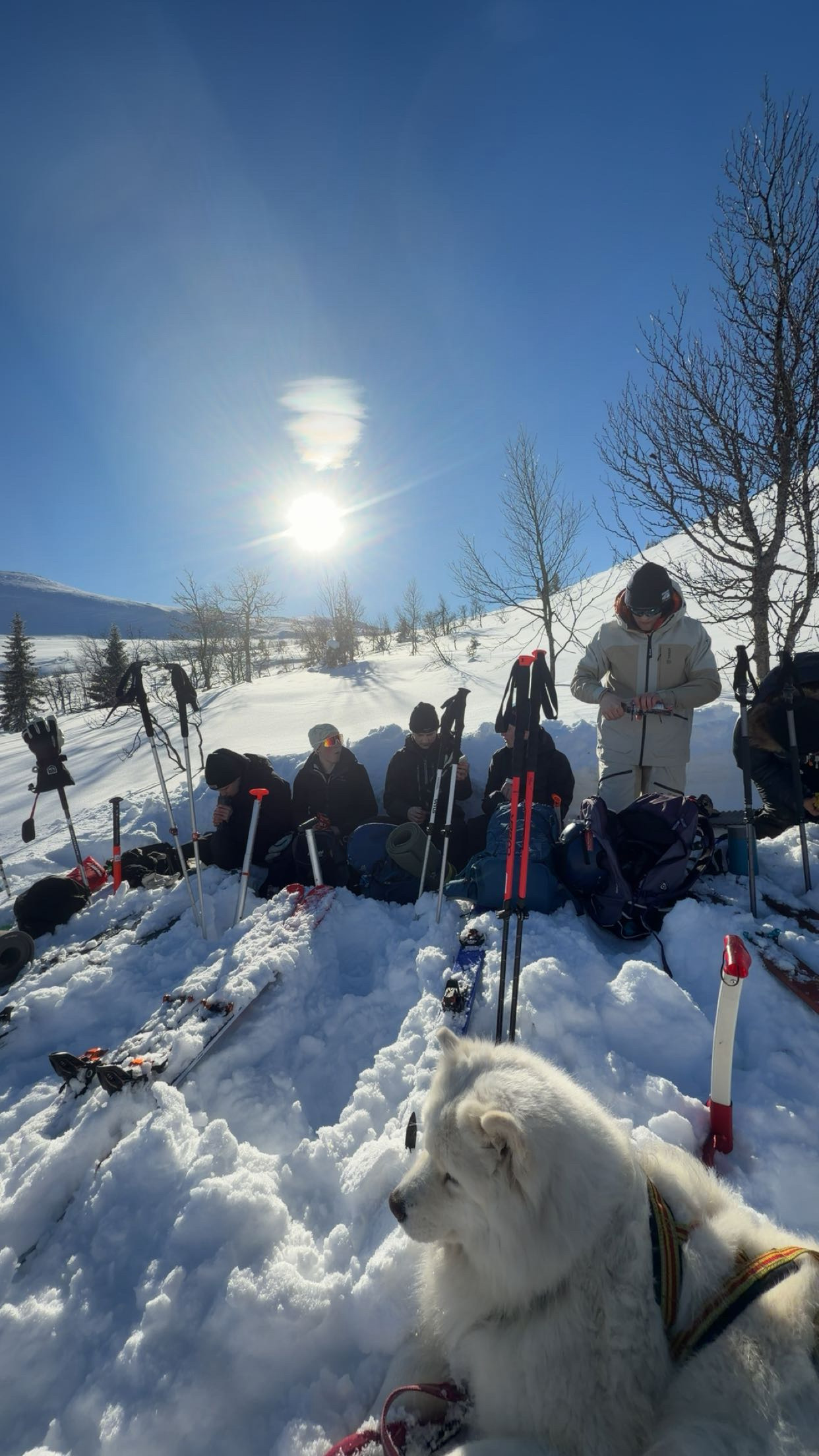 Pause i solen. Foto: Maria Bratteli Jonsson