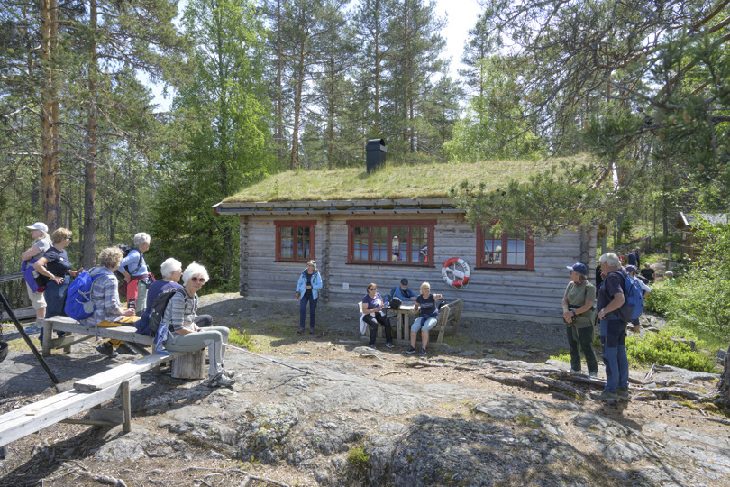 Ved Hovinkoia