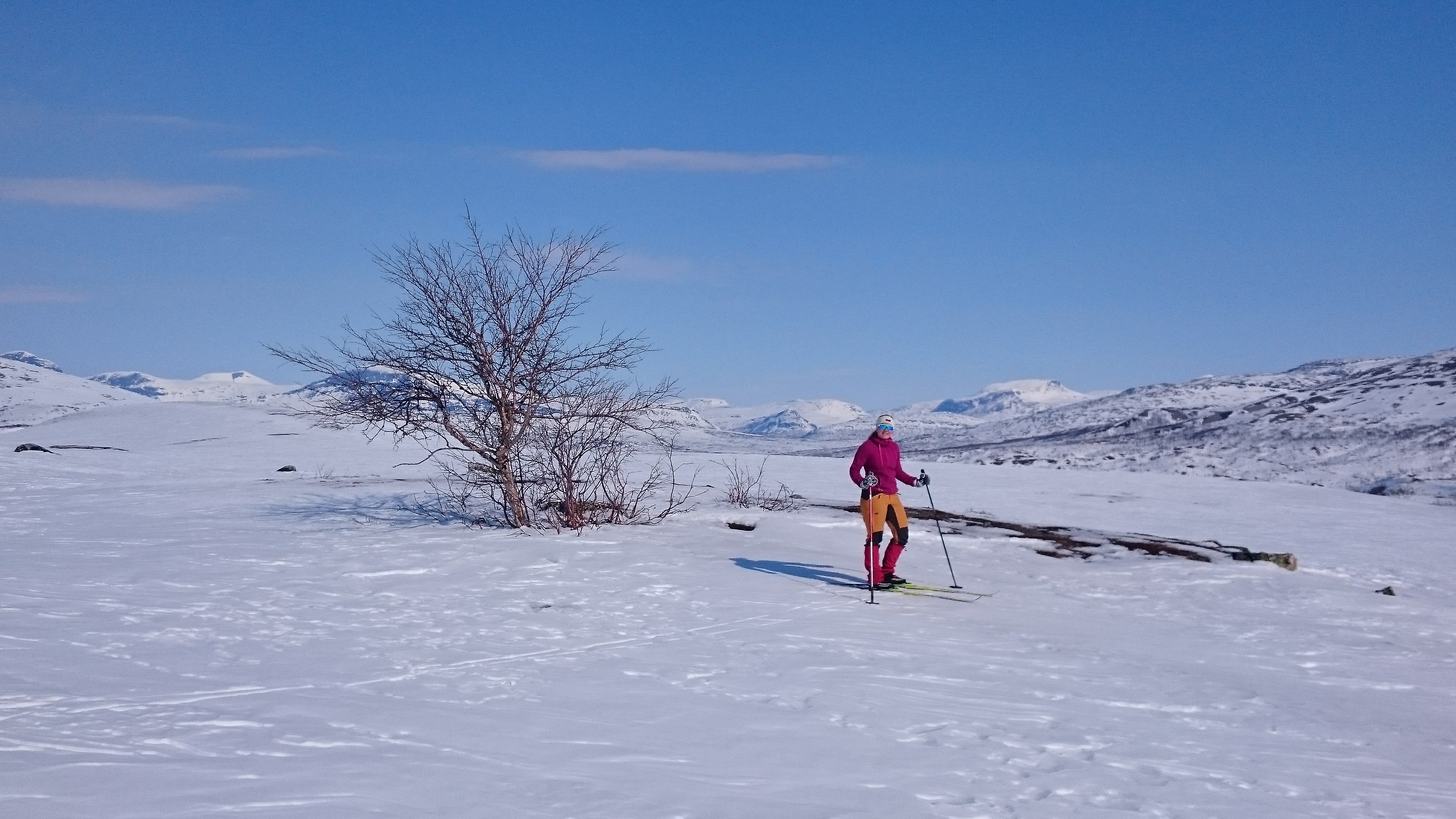 Saltdal turlag - DNT