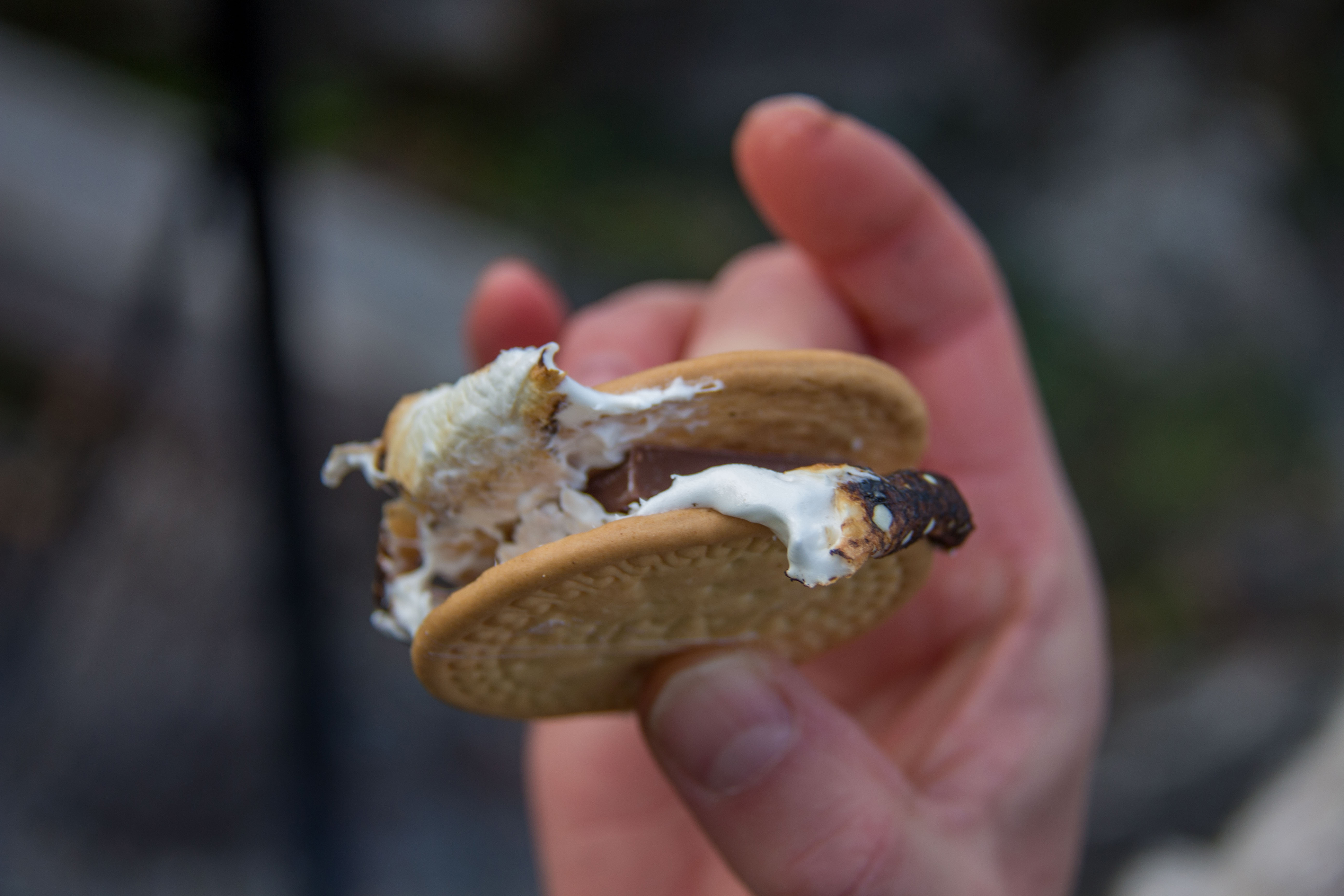 En h&aring;nd som holder en smores.
