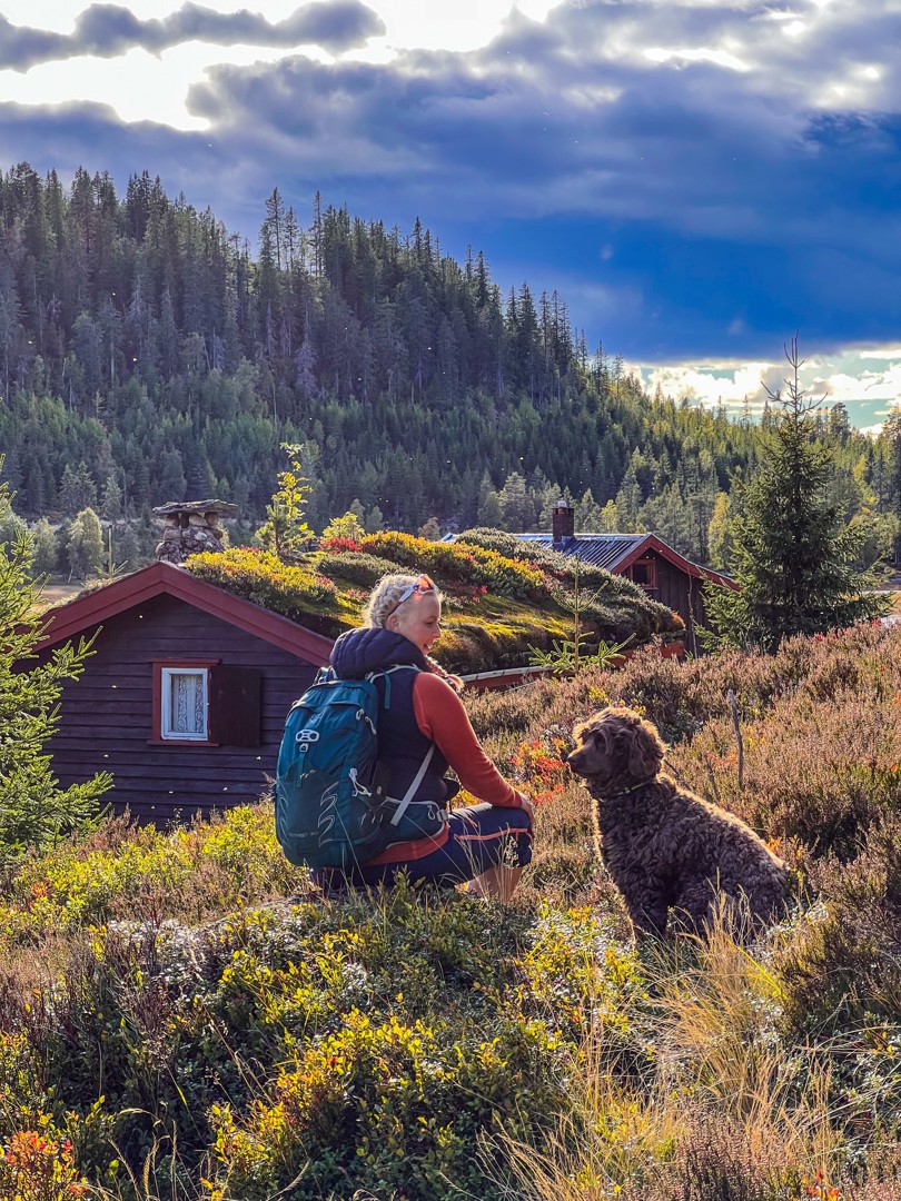 Menneske og hund i høstfarger